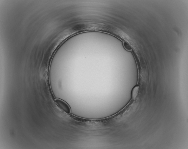 X0000113261089200910011402