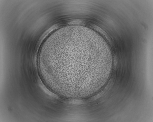 X0000113261090200910011402