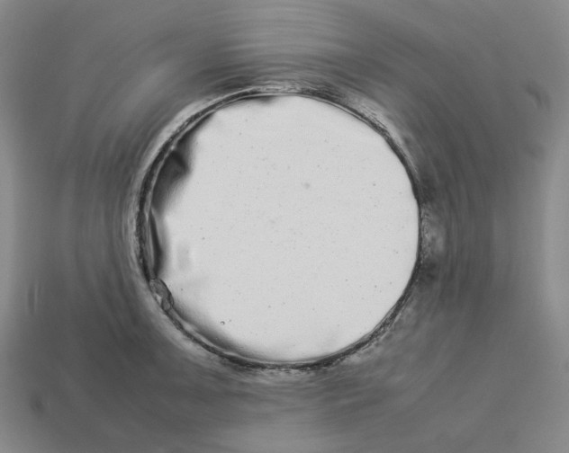 X0000113261091200910011402