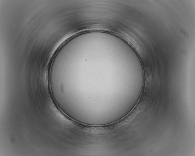 X0000113261092200910011402