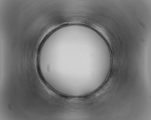 X0000113261093200910011402