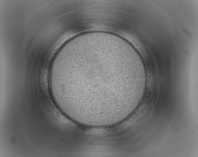 X0000113261094200910011402