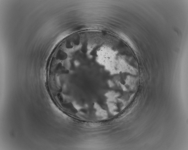 X0000113261095200910011402