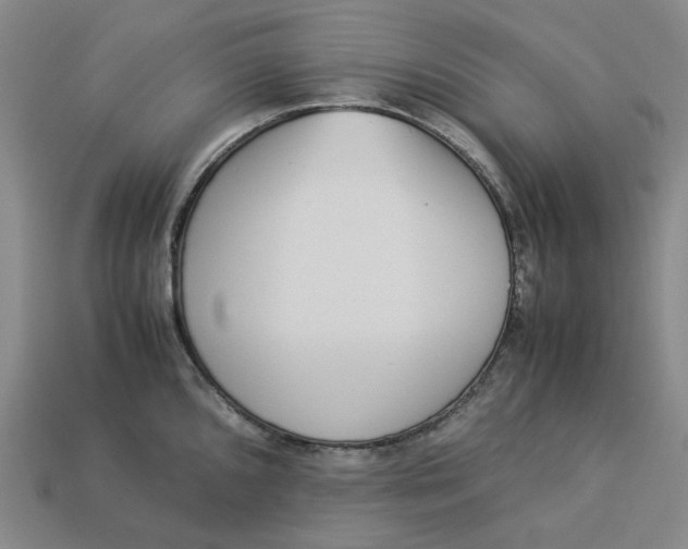 X0000113261096200910011402