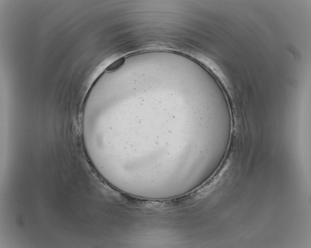 X0000113261097200910011402