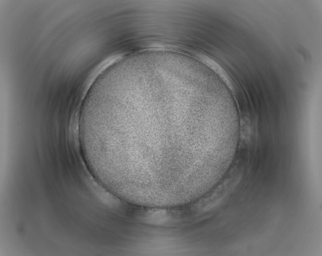 X0000113261098200910011402