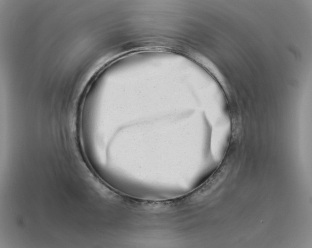 X0000113261099200910011402