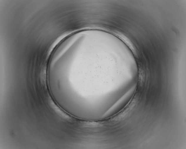 X0000113261100200910011402