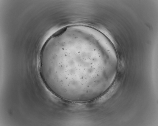 X0000113261101200910011402