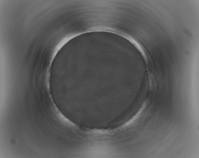 X0000113261102200910011402