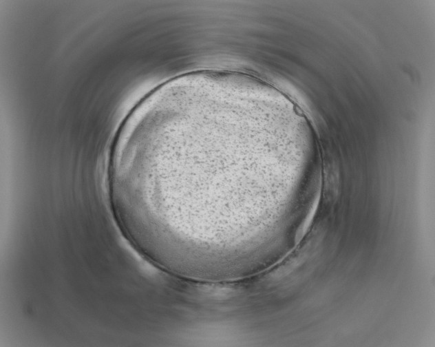 X0000113261103200910011402