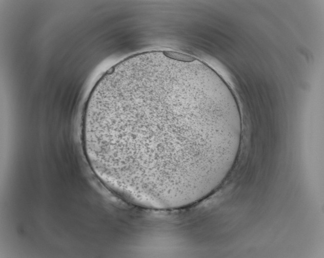 X0000113261104200910011402