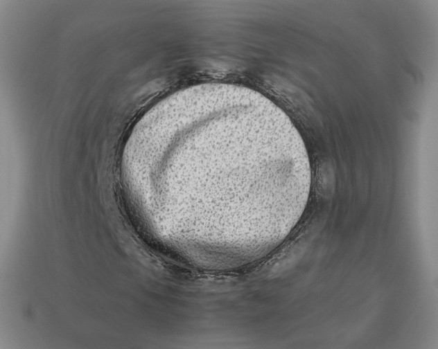 X0000113261105200910011401