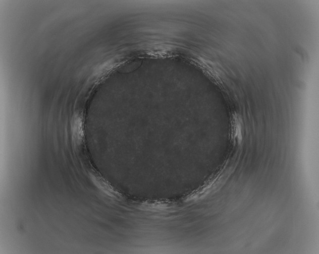 X0000113261106200910011401