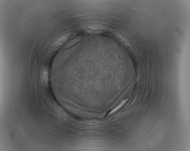 X0000113261108200910011401