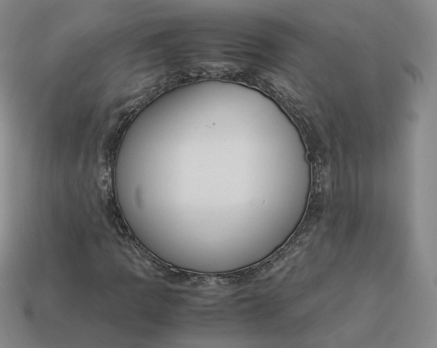 X0000113261109200910011401