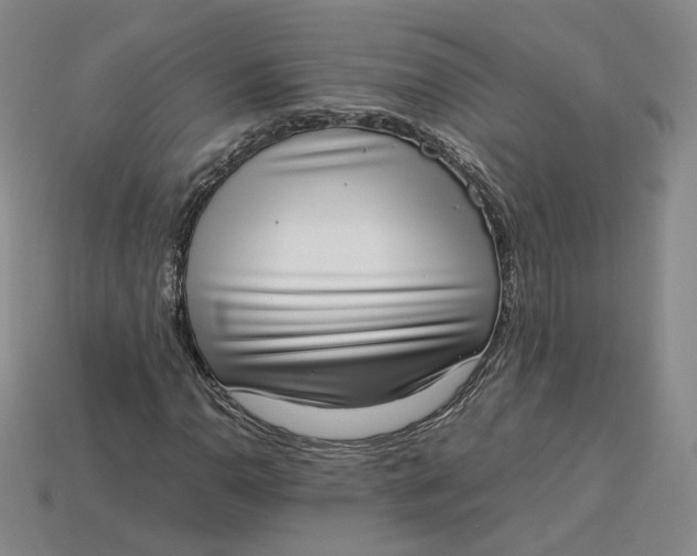 X0000113261110200910011401