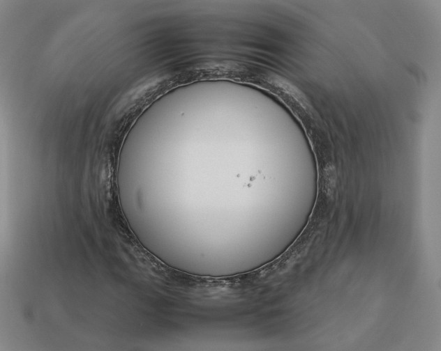 X0000113261111200910011401