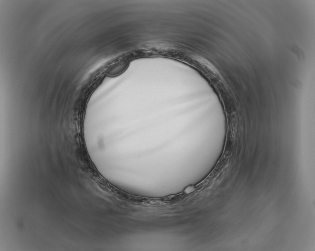 X0000113261112200910011401