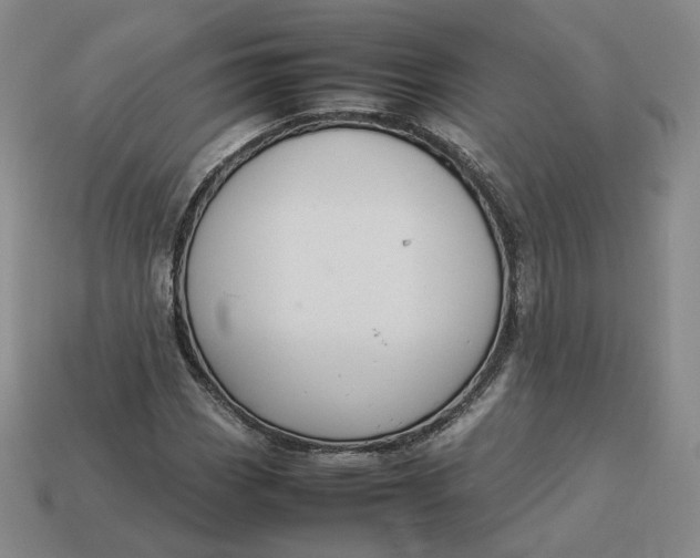 X0000113261113200910011401