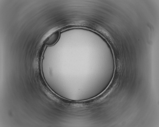 X0000113261114200910011401