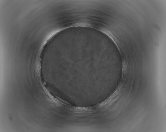 X0000113261115200910011402