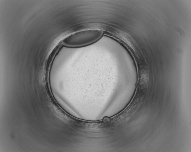 X0000113261116200910011402