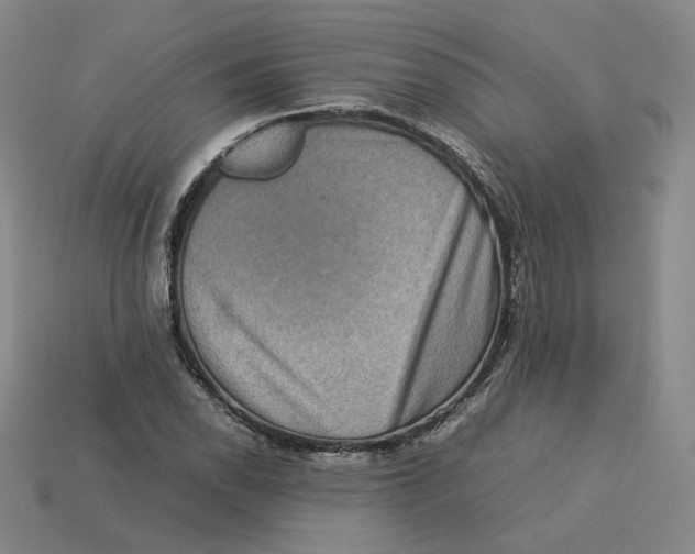 X0000113261118200910011402