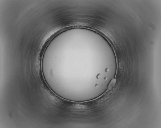 X0000113261119200910011402