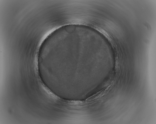 X0000113261120200910011402