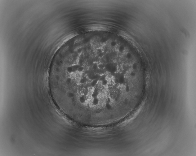 X0000113261121200910011402