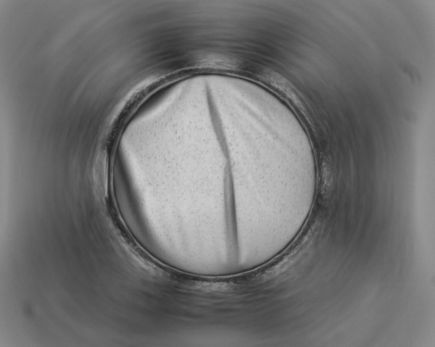 X0000113261123200910011402