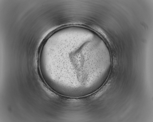 X0000113261124200910011402