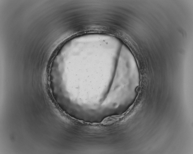 X0000113261125200910011402