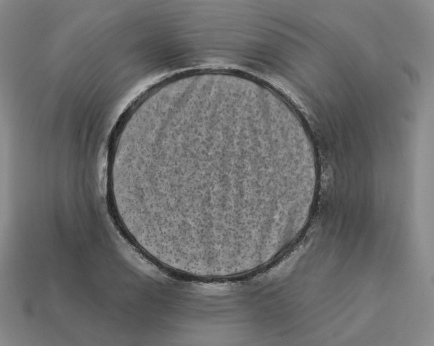 X0000113261126200910011402