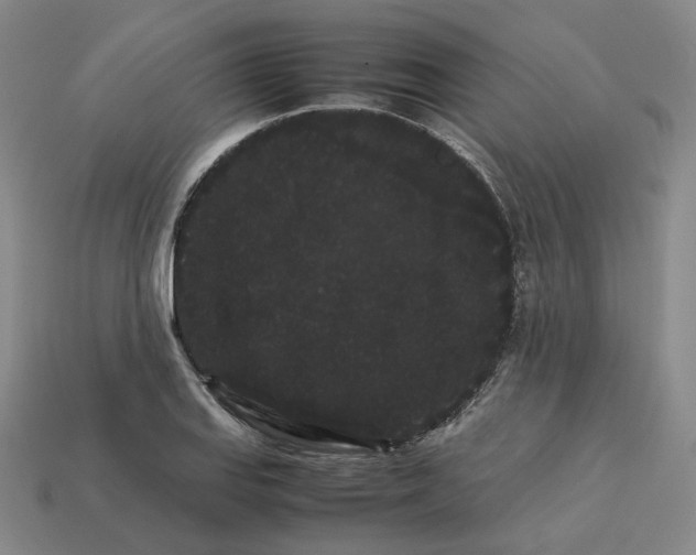 X0000113261127200910011402