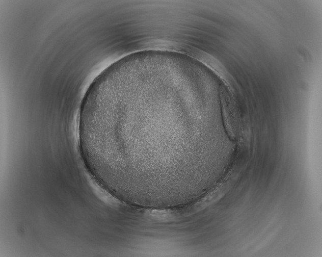 X0000113261128200910011402