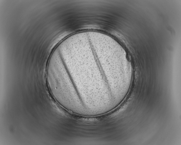 X0000113261129200910011402