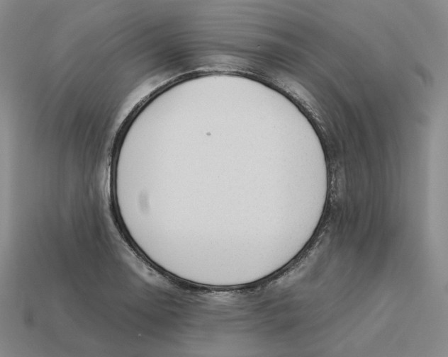 X0000113261130200910011402