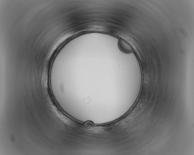 X0000113261131200910011402