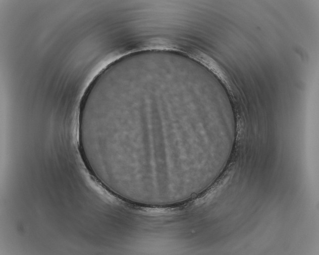 X0000113261132200910011402