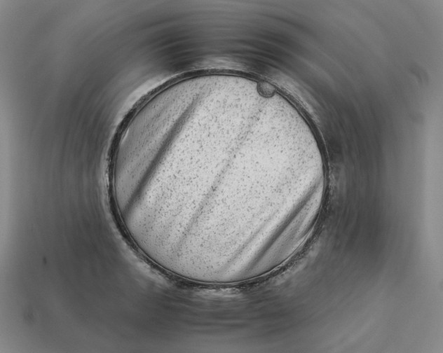 X0000113261133200910011402