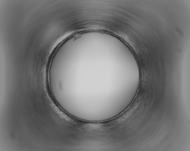 X0000113261134200910011402