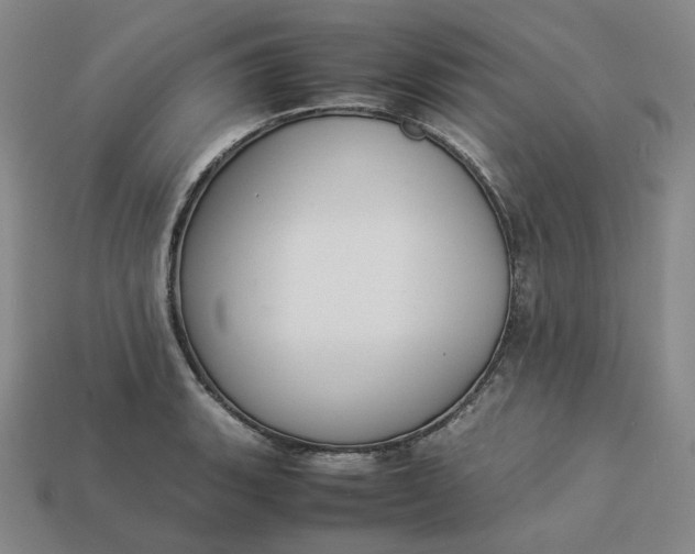 X0000113261135200910011402