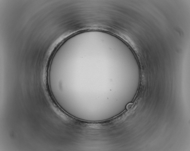 X0000113261136200910011402