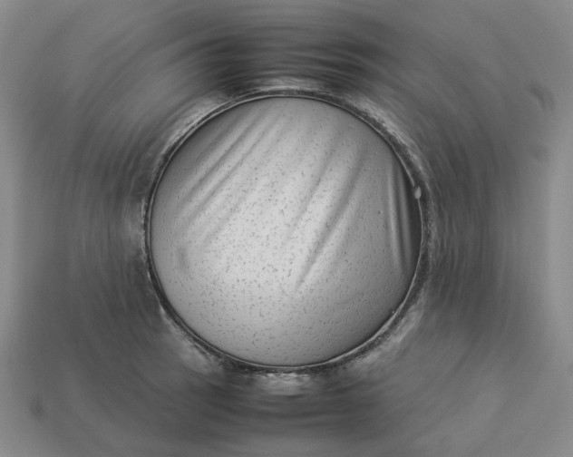 X0000113261137200910011402