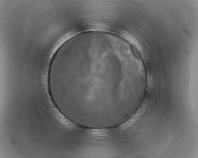 X0000113261138200910011402