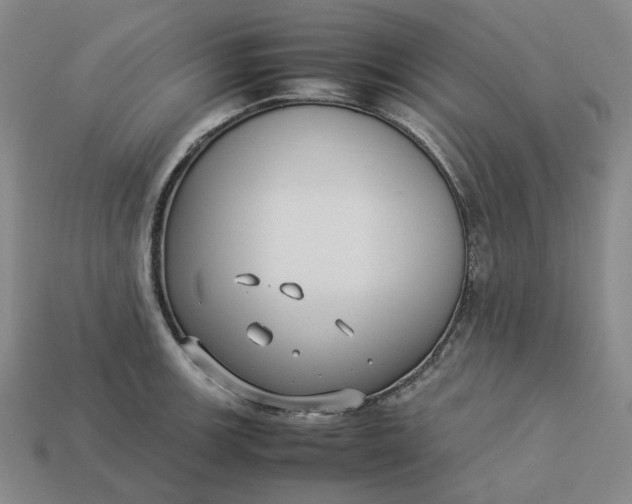 X0000113261139200910011402