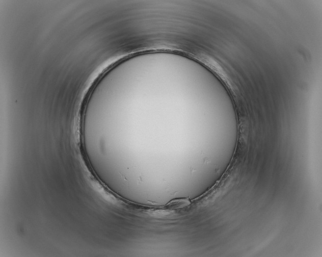 X0000113261140200910011402