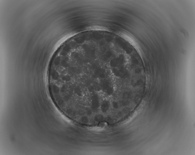 X0000113261141200910011402